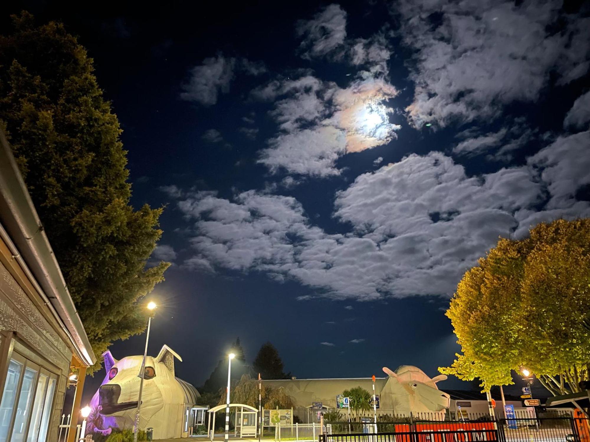Tirau Motor Inn Kültér fotó